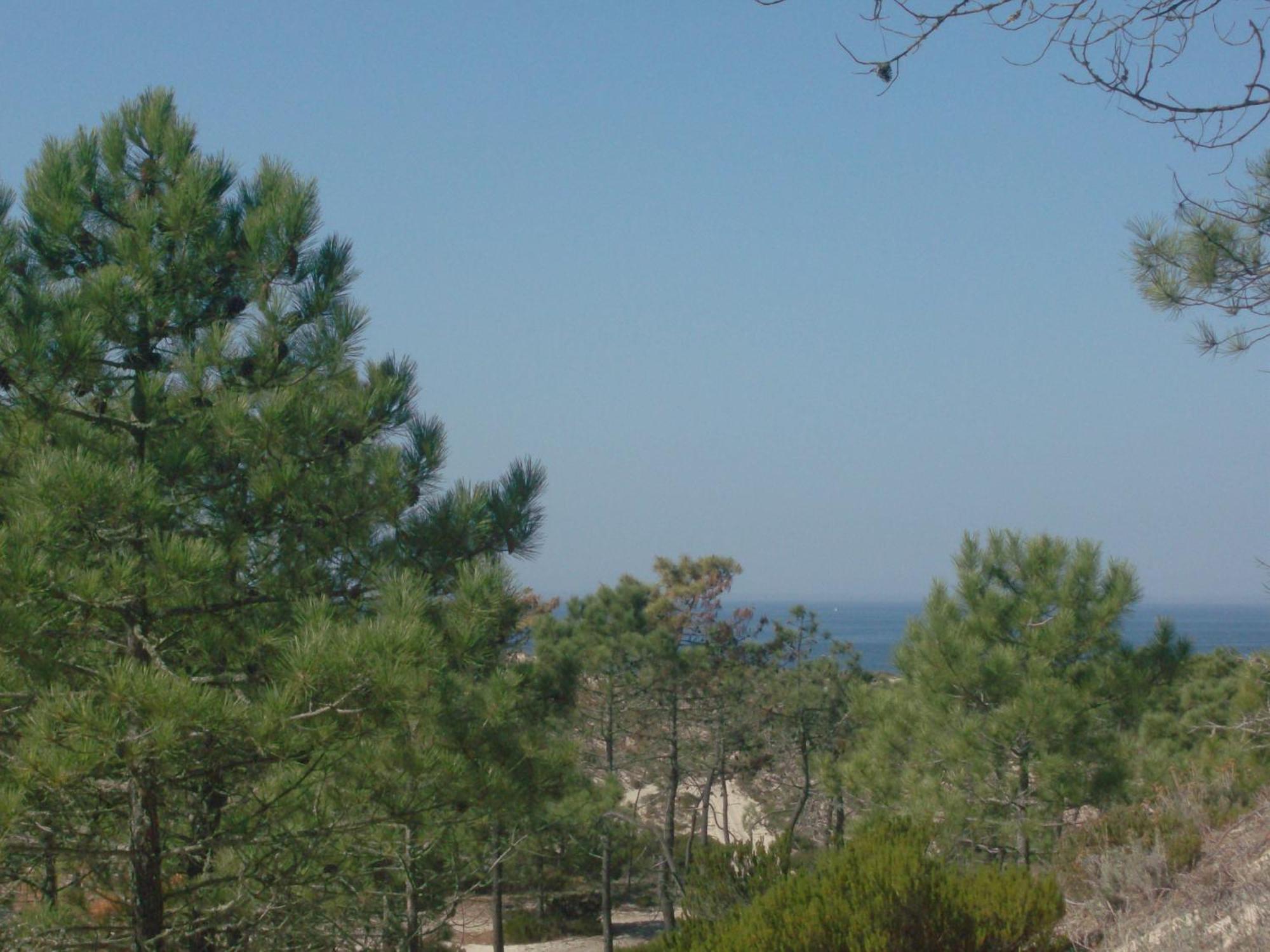 Alojamento Local Verde E Mar Comporta Exterior foto
